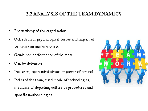 analysis of team dynamics